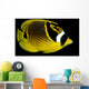 Hawaii, Raccoon Butterflyfish Close-Up B1936 Wall Mural