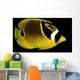 Hawaii, Raccoon Butterflyfish Close-Up B1936 Wall Mural