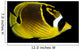 Hawaii, Raccoon Butterflyfish Close-Up B1936 Wall Mural