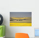 Flowering Canola Fields Wall Mural