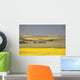 Flowering Canola Fields Wall Mural
