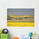 Flowering Canola Fields Wall Mural