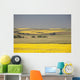 Flowering Canola Fields Wall Mural