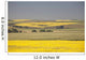 Flowering Canola Fields Wall Mural