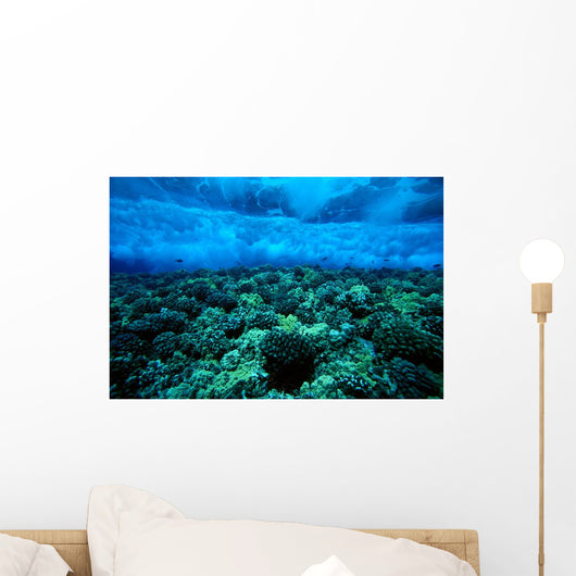 Underwater View Of Wave Breaking Over Shallow Reef B1916 Wall Mural