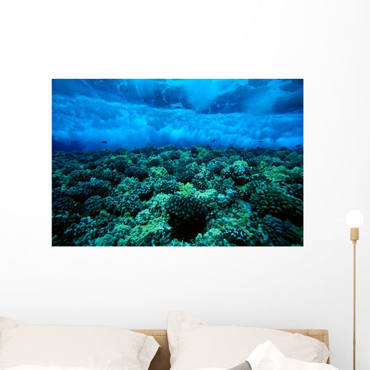 Underwater View Of Wave Breaking Over Shallow Reef B1916 Wall Mural