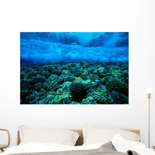 Underwater View Of Wave Breaking Over Shallow Reef B1916 Wall Mural