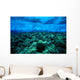 Underwater View Of Wave Breaking Over Shallow Reef B1916 Wall Mural