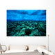 Underwater View Of Wave Breaking Over Shallow Reef B1916 Wall Mural