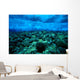 Underwater View Of Wave Breaking Over Shallow Reef B1916 Wall Mural