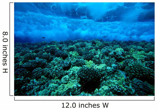 Underwater View Of Wave Breaking Over Shallow Reef B1916 Wall Mural