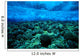 Underwater View Of Wave Breaking Over Shallow Reef B1916 Wall Mural