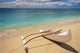 White Outrigger Canoe On Shoreline With Shadow, Calm Turquoise Water Wall Mural