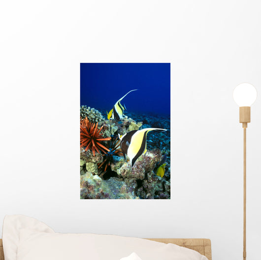 And Reef Fish C1959 Wall Mural