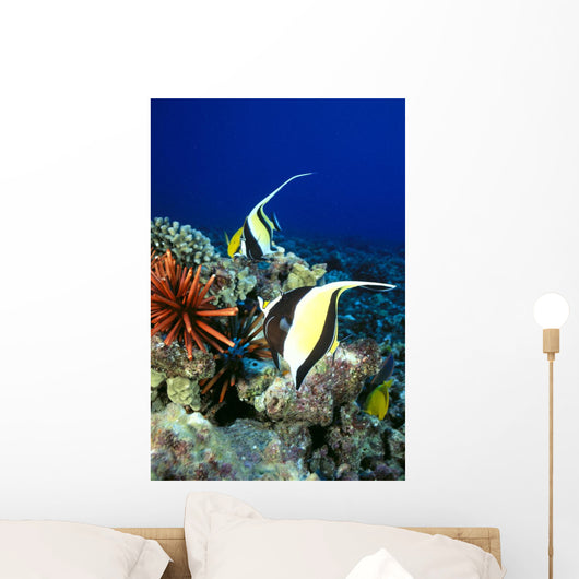 And Reef Fish C1959 Wall Mural