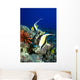 And Reef Fish C1959 Wall Mural