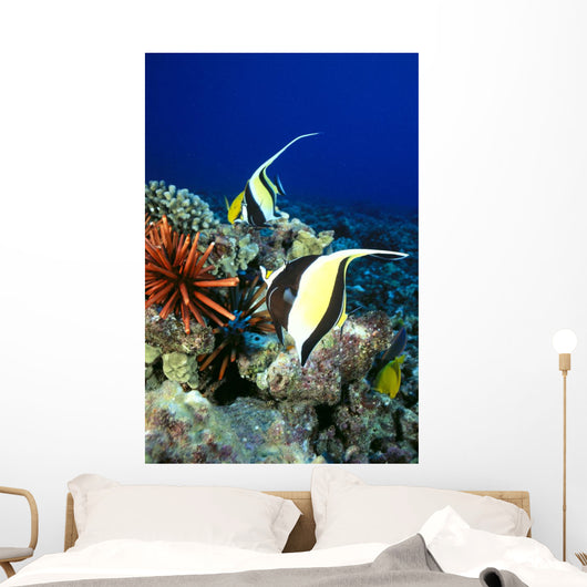 And Reef Fish C1959 Wall Mural