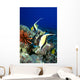 And Reef Fish C1959 Wall Mural
