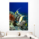 And Reef Fish C1959 Wall Mural
