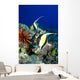 And Reef Fish C1959 Wall Mural