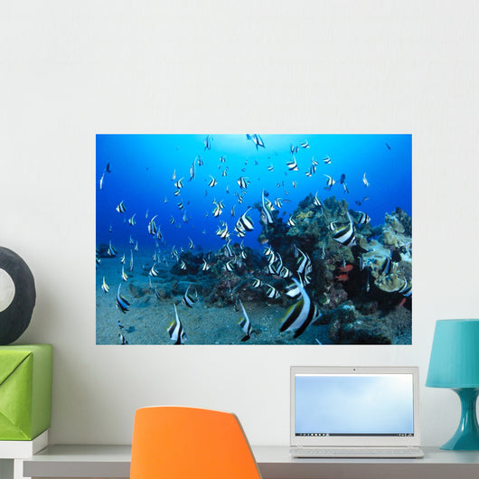 Hawaiian Reef Scene With Pennantfish C1950 Wall Mural