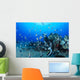 Hawaiian Reef Scene With Pennantfish C1950 Wall Mural