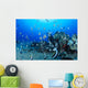 Hawaiian Reef Scene With Pennantfish C1950 Wall Mural