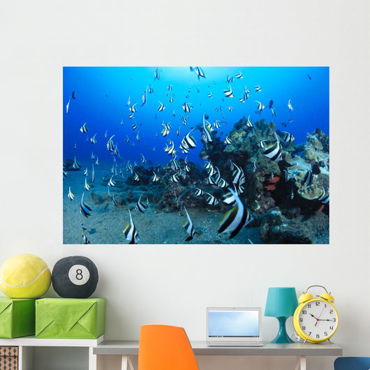 Hawaiian Reef Scene With Pennantfish C1950 Wall Mural