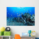 Hawaiian Reef Scene With Pennantfish C1950 Wall Mural