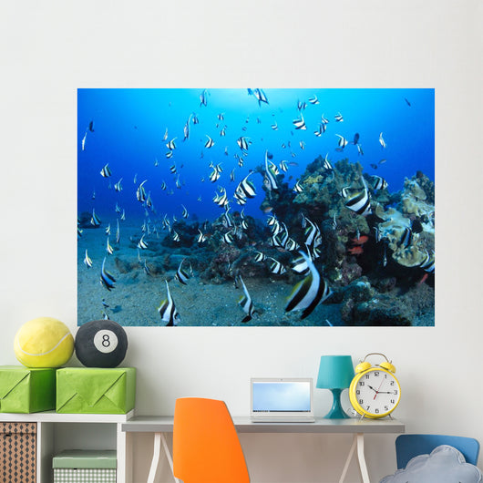 Hawaiian Reef Scene With Pennantfish C1950 Wall Mural