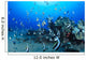 Hawaiian Reef Scene With Pennantfish C1950 Wall Mural