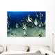 Hawaii, Reef Scene With Pennantfish School C1971 Wall Mural