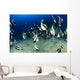 Hawaii, Reef Scene With Pennantfish School C1971 Wall Mural