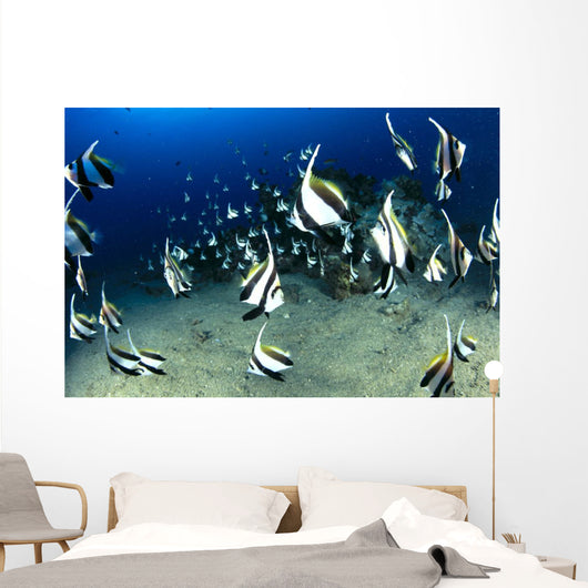 Hawaii, Reef Scene With Pennantfish School C1971 Wall Mural