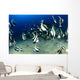 Hawaii, Reef Scene With Pennantfish School C1971 Wall Mural