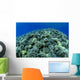 Hawaii, Cauliflower Coral With Surface Reflections C1939 Wall Mural