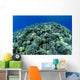 Hawaii, Cauliflower Coral With Surface Reflections C1939 Wall Mural
