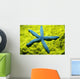 Close-Up Of Blue Starfish On Poritirs Coral C1921 Wall Mural