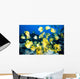 Hawaii, School Of Lined Butterflyfish C1945 Wall Mural