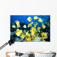 Hawaii, School Of Lined Butterflyfish C1945 Wall Mural