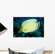 Hawaii, Ornate Butterflyfish Close-Up Side View C1930 Wall Mural