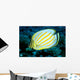 Hawaii, Ornate Butterflyfish Close-Up Side View C1930 Wall Mural