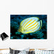 Hawaii, Ornate Butterflyfish Close-Up Side View C1930 Wall Mural