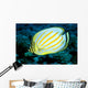 Hawaii, Ornate Butterflyfish Close-Up Side View C1930 Wall Mural