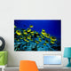 Hawaii, Schooling Raccoon Butterflyfish Over Reef C1914 Wall Mural