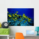 Hawaii, Schooling Raccoon Butterflyfish Over Reef C1914 Wall Mural
