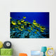 Hawaii, Schooling Raccoon Butterflyfish Over Reef C1914 Wall Mural