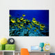 Hawaii, Schooling Raccoon Butterflyfish Over Reef C1914 Wall Mural