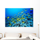 Hawaii, Schooling Raccoon Butterflyfish In Bright Blue Ocean C1960 Wall Mural
