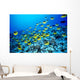 Hawaii, Schooling Raccoon Butterflyfish In Bright Blue Ocean C1960 Wall Mural